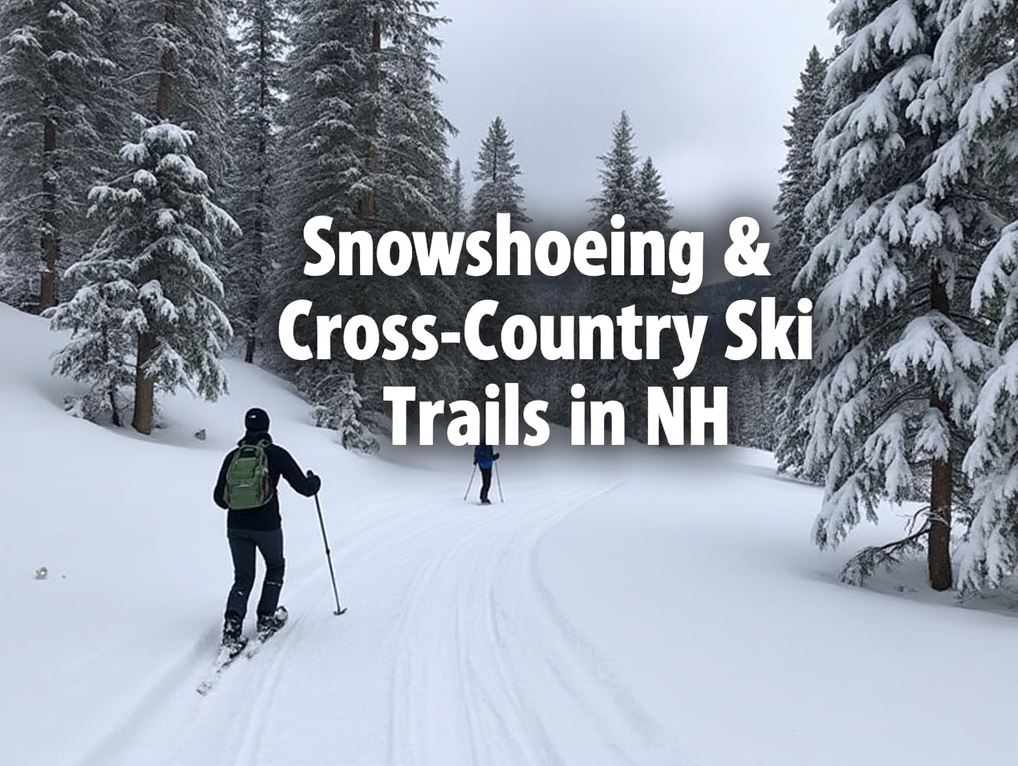 Snowshoeing & Cross-Country Skiing Trails in NH
